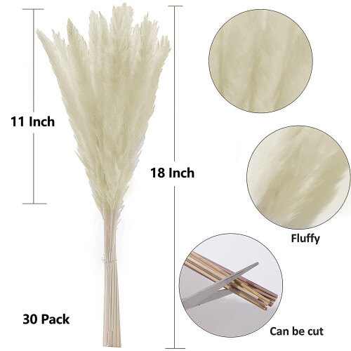 米色芦苇尺寸明细1